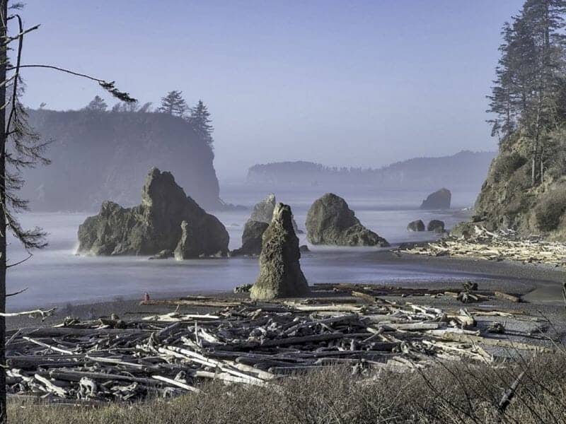 hiking olympic peninsula