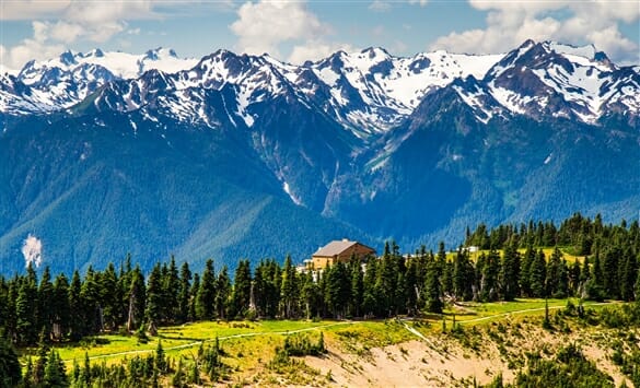 Hoh Rainforest and Mount Olympus