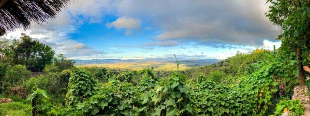 best of nicaragua 
