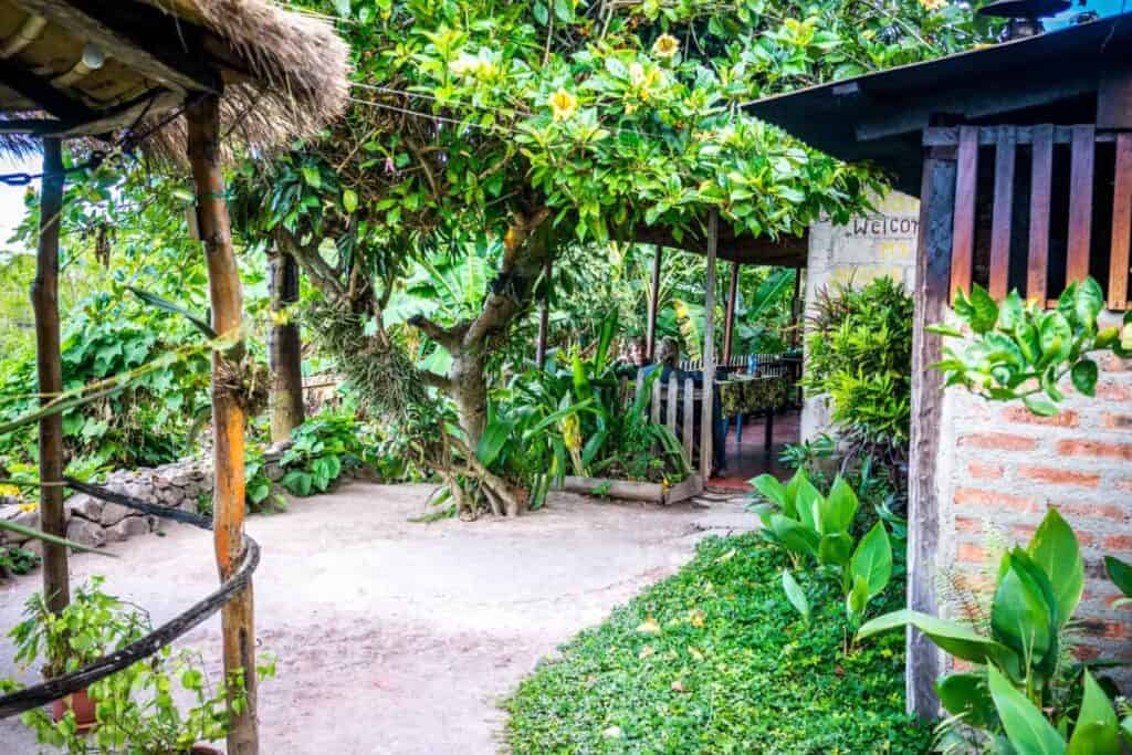 nicaragua homestay