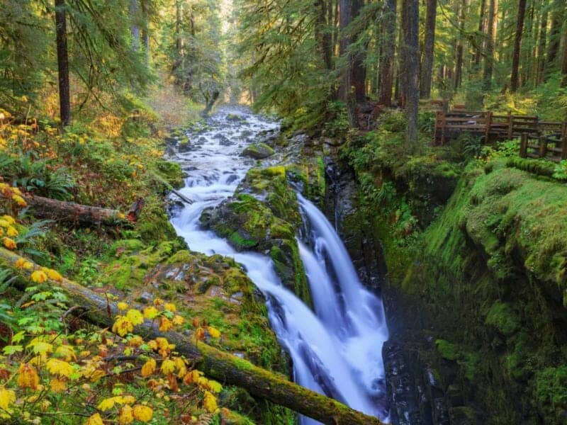 olympic national park