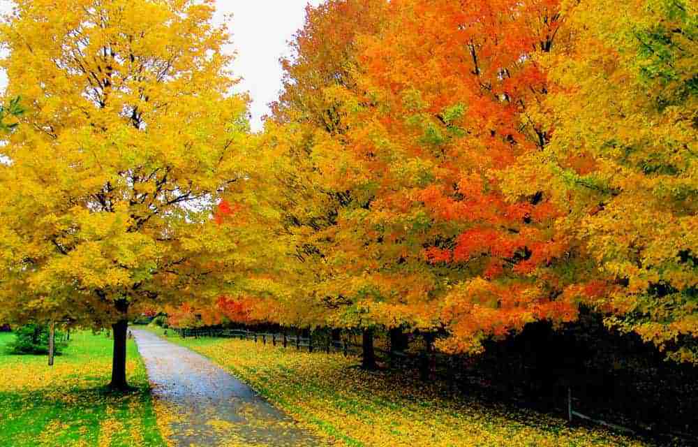 9 Of America’s Best Fall Road Trip Destinations