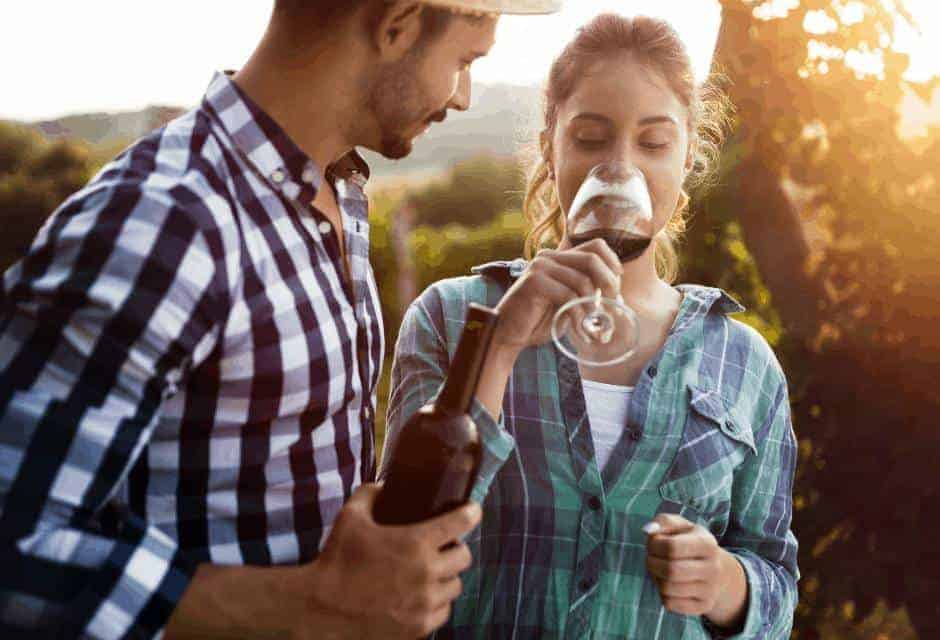 BEST WINE TOURS IN THE USA THAT SHOULDN’T BE MISSED
