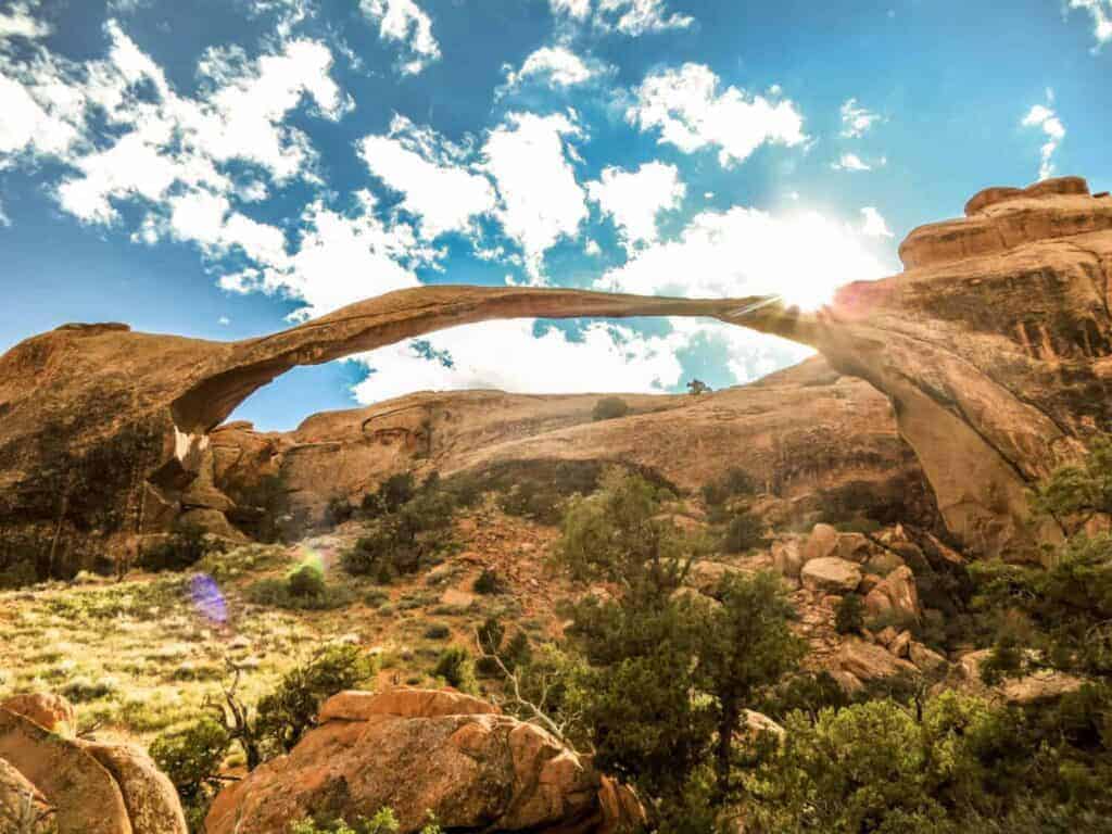 DEVILS GARDEN
