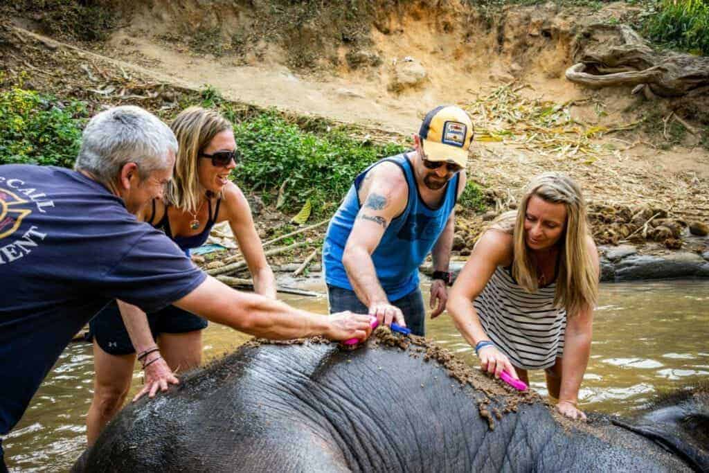 How To Be One With The Elephants In Thailand