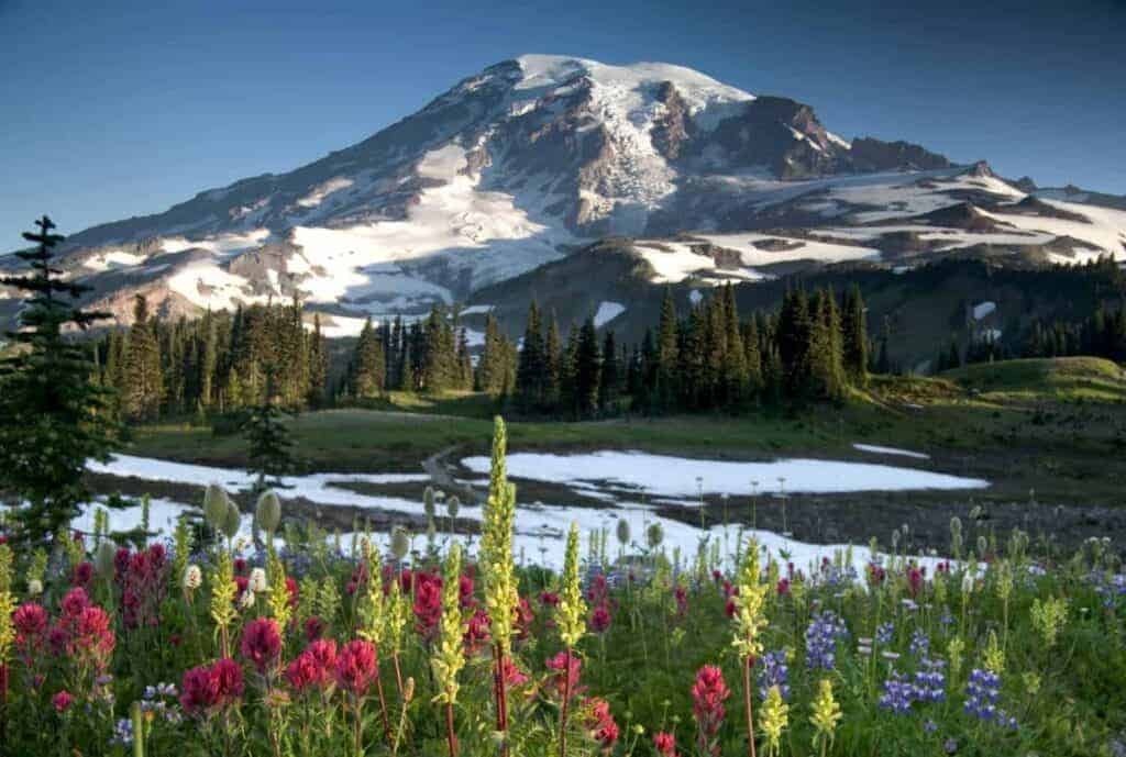 9 Unique And Stunning Day Trips From Seattle