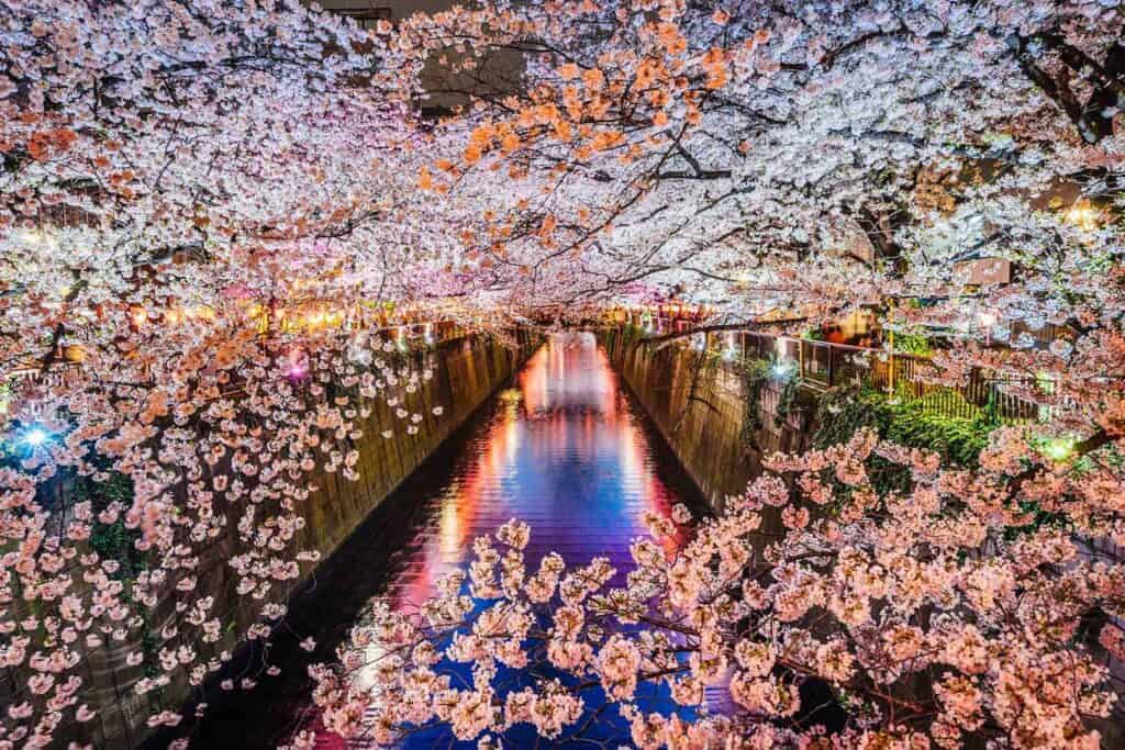 NARITA AIRPORT – TOKYO, JAPAN LAYOVER TOURS