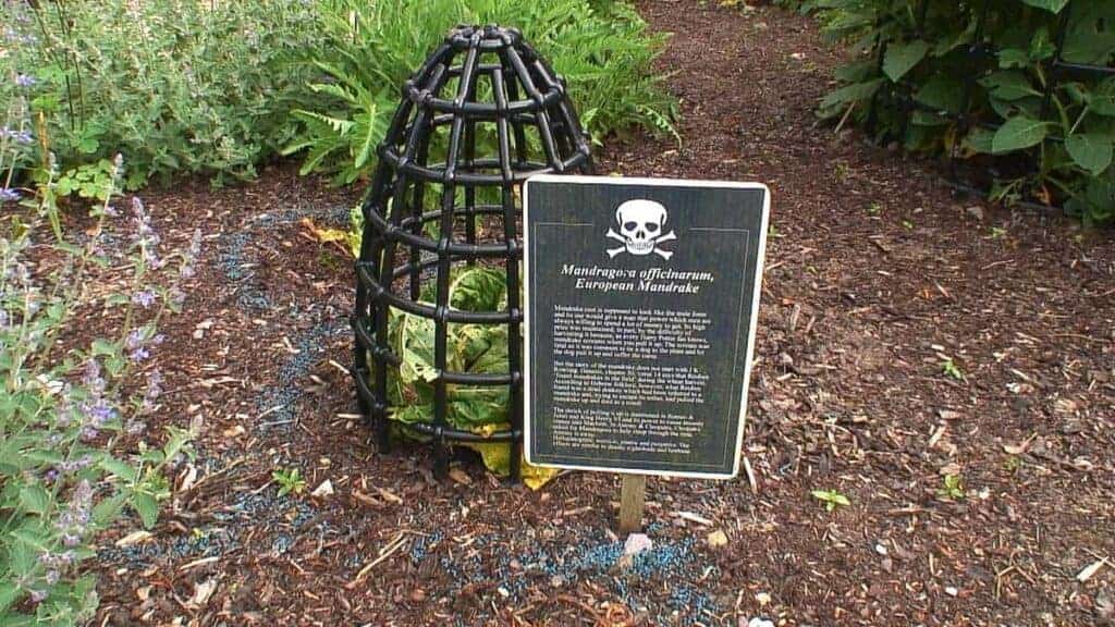POISON GARDEN