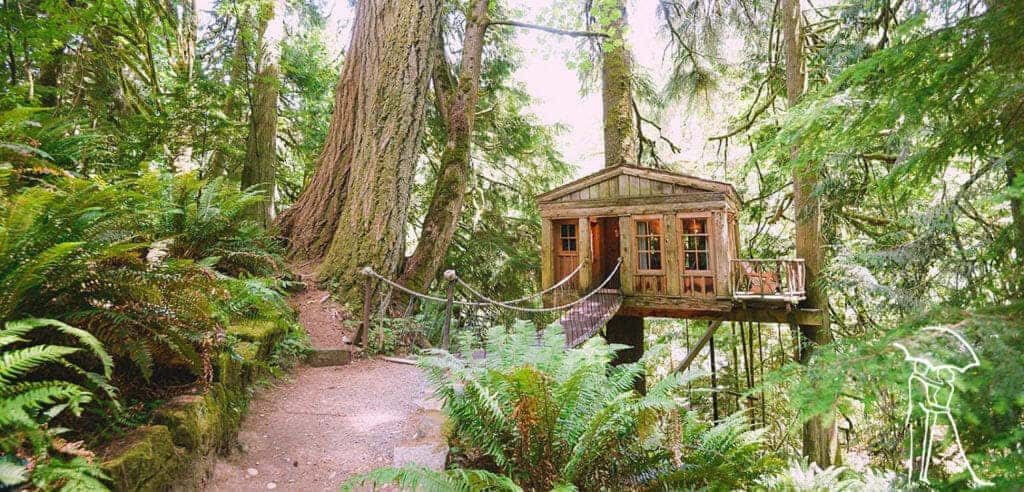 TREEHOUSE POINT – FALL CITY, WASHINGTON
