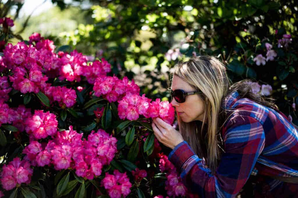 Visitors Guide To Blarney Castle & How About That Kiss!