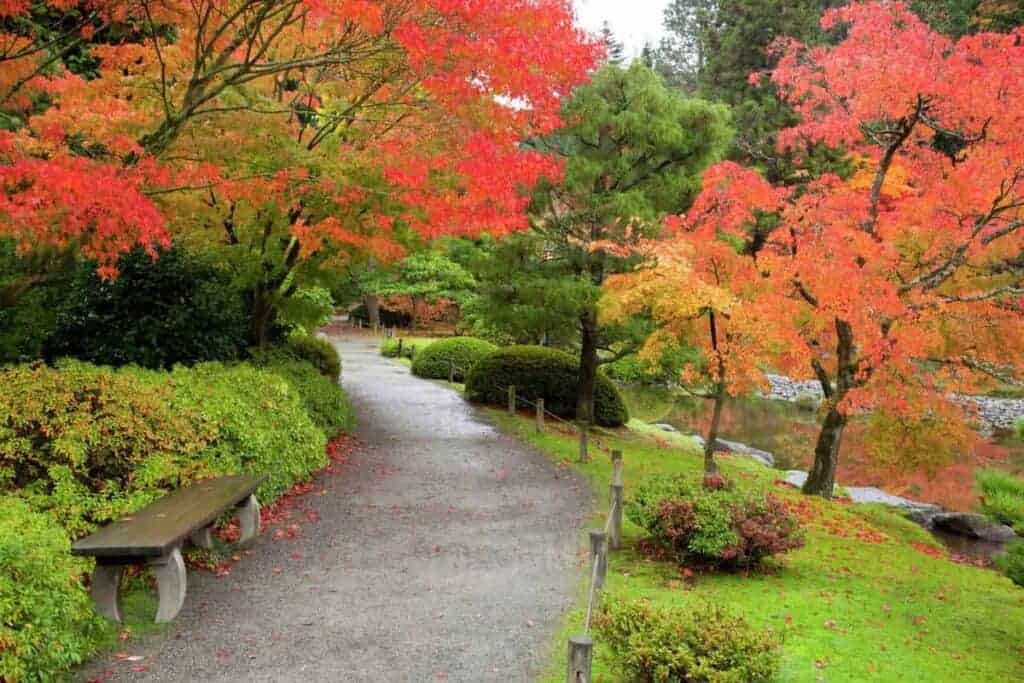 WASHINGTON PARK ARBORETUM