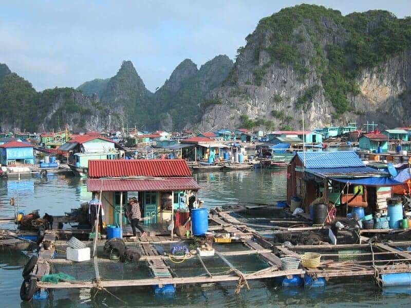 WHAT-TO-DO-IN-HALONG-BAY-2