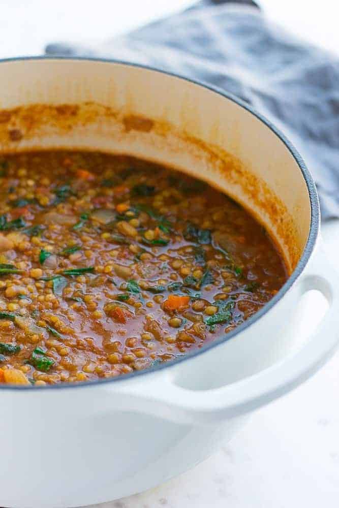 VEGAN LENTIL SOUP