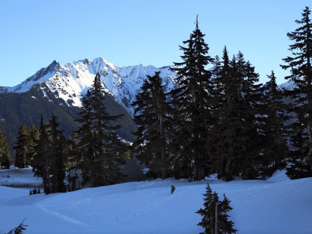 mount baker ski area  things to do in Bellingham