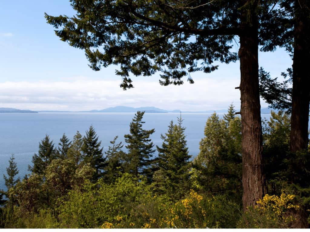 chuckanut drive

