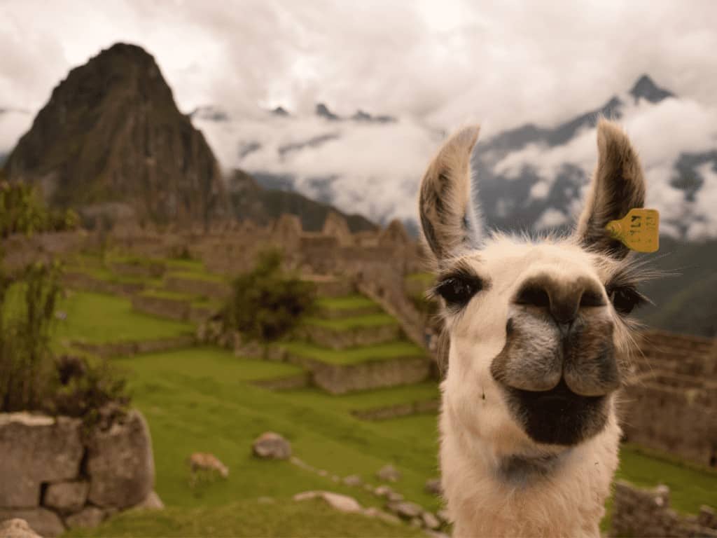 machu picchu altitude