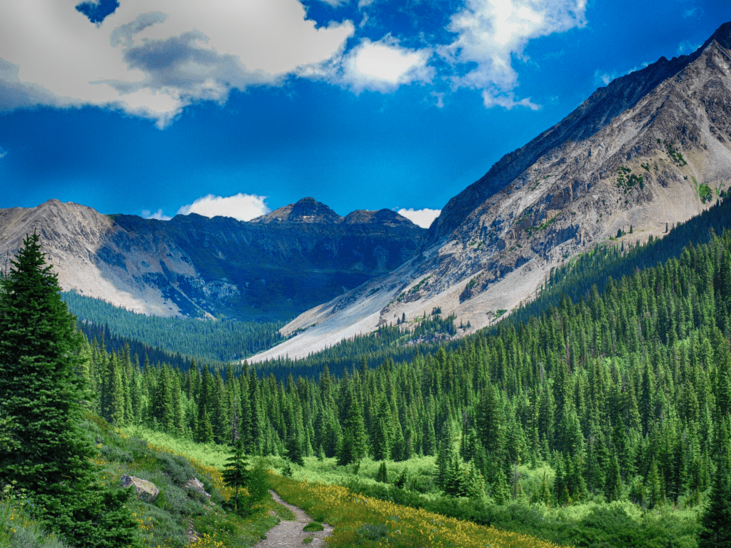 crested butte mountain views
