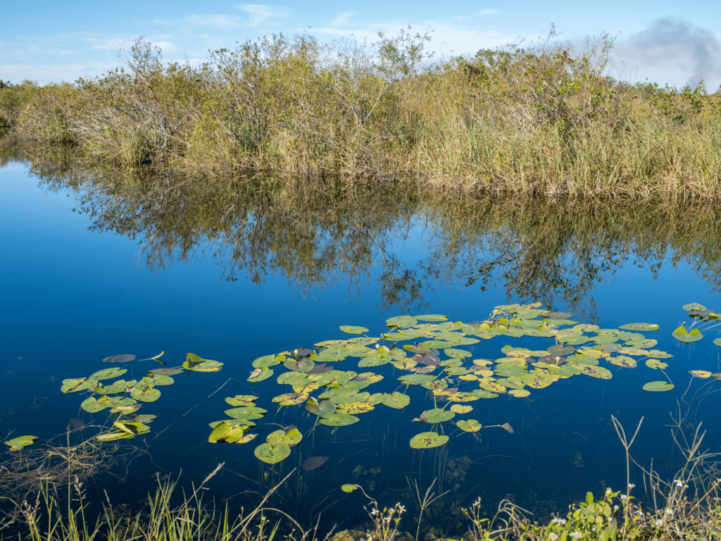everglades national park