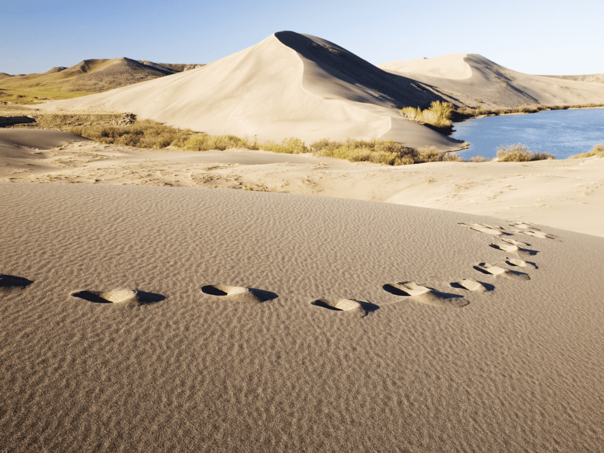 Bruneau Sand Dunes