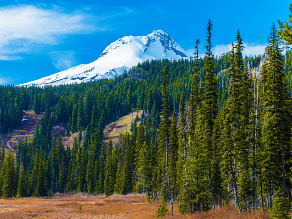 unique things to do in oregon