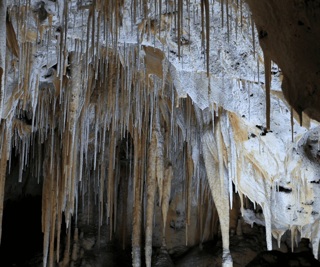 carlsbad caverns national park in winter