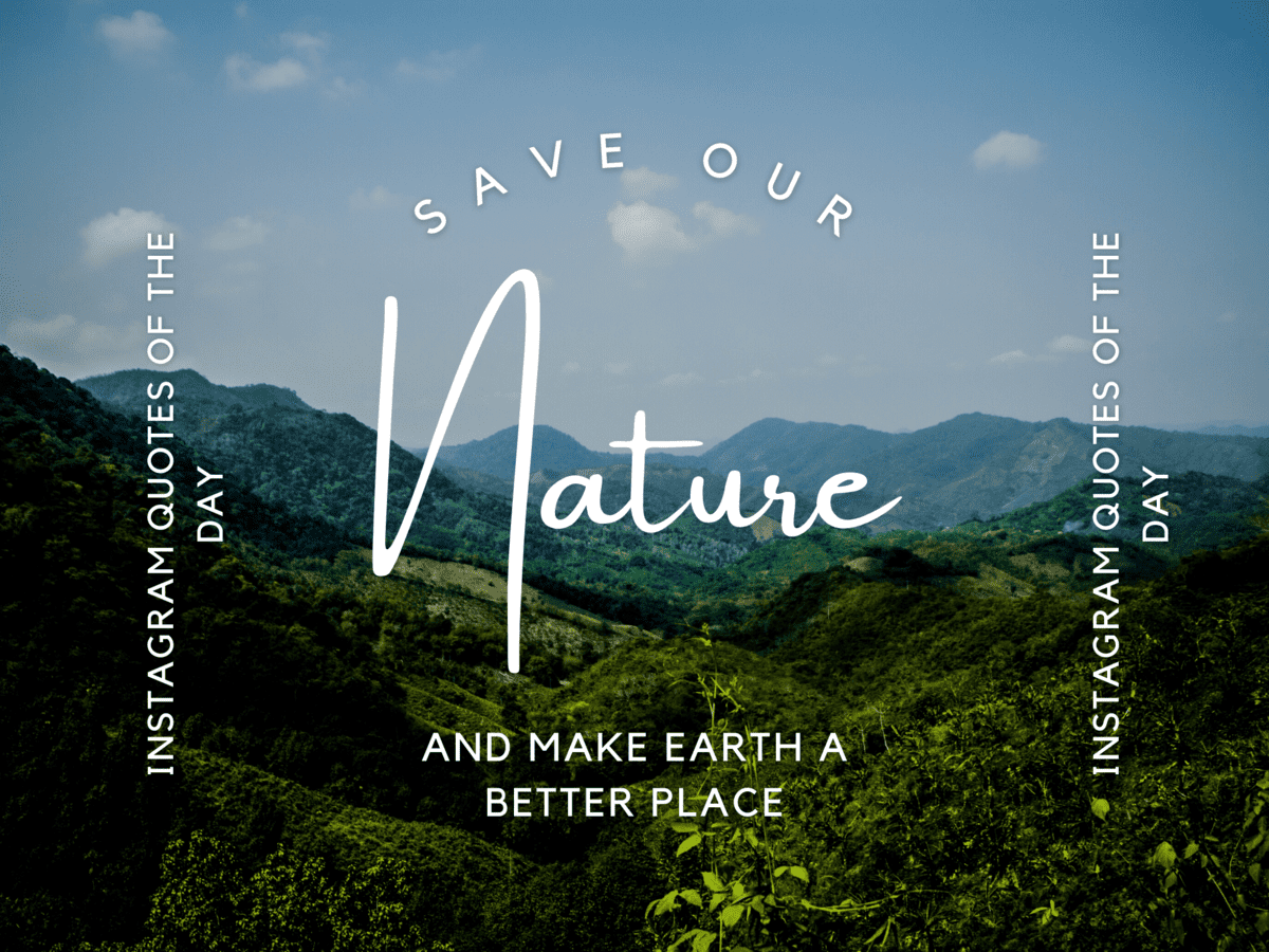 130 Short and Beautiful Nature Quotes for Instagram Captions Pictures, or Posts Ideas 130 Short and Beautiful Nature Quotes for Instagram Captions Pictures, or Posts Ideas