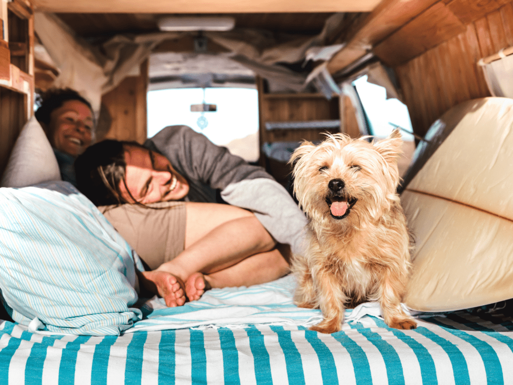 fears of Starting a nomadic life