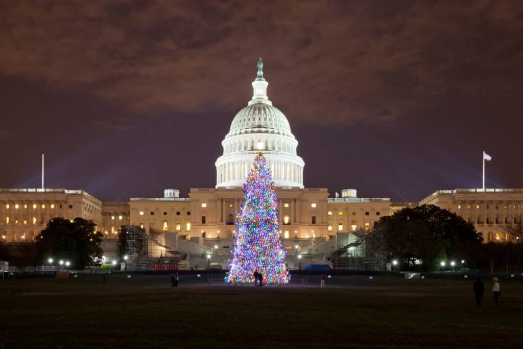 Christmas tree at Washington DC - United States