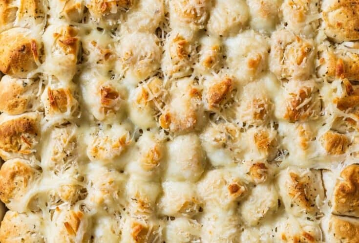 dutch oven cheesy garlic bites