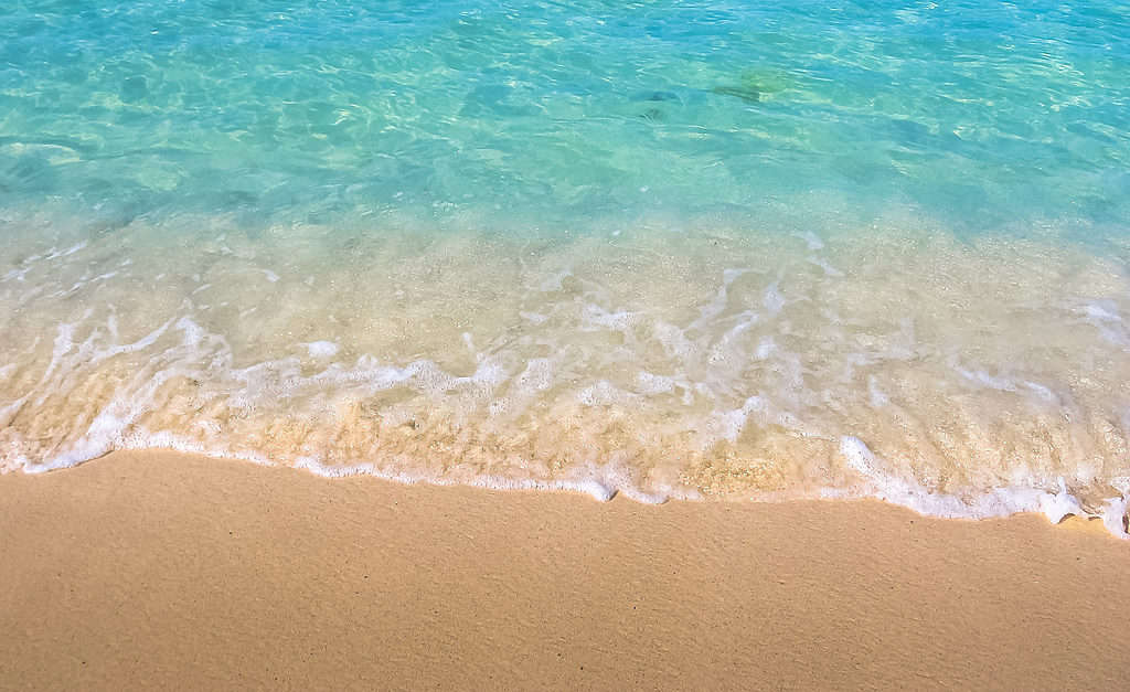 clear water in florida