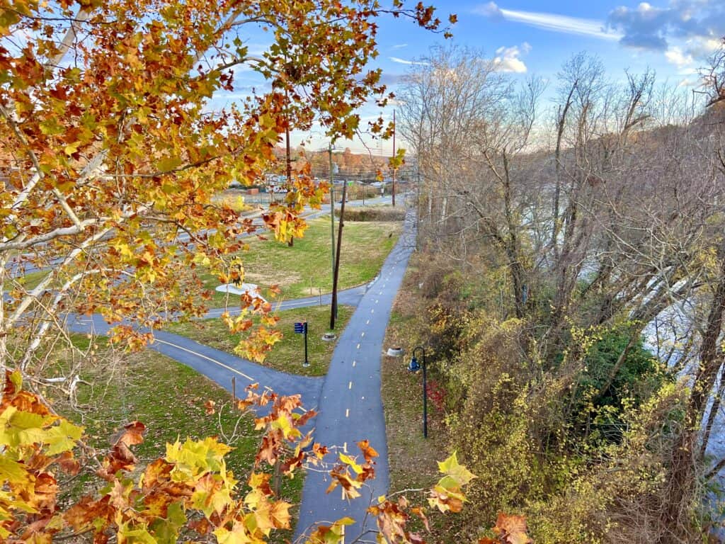 asheville NC fall leaves