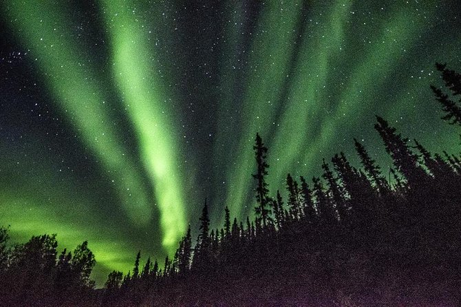 northern lights fairbanks tour