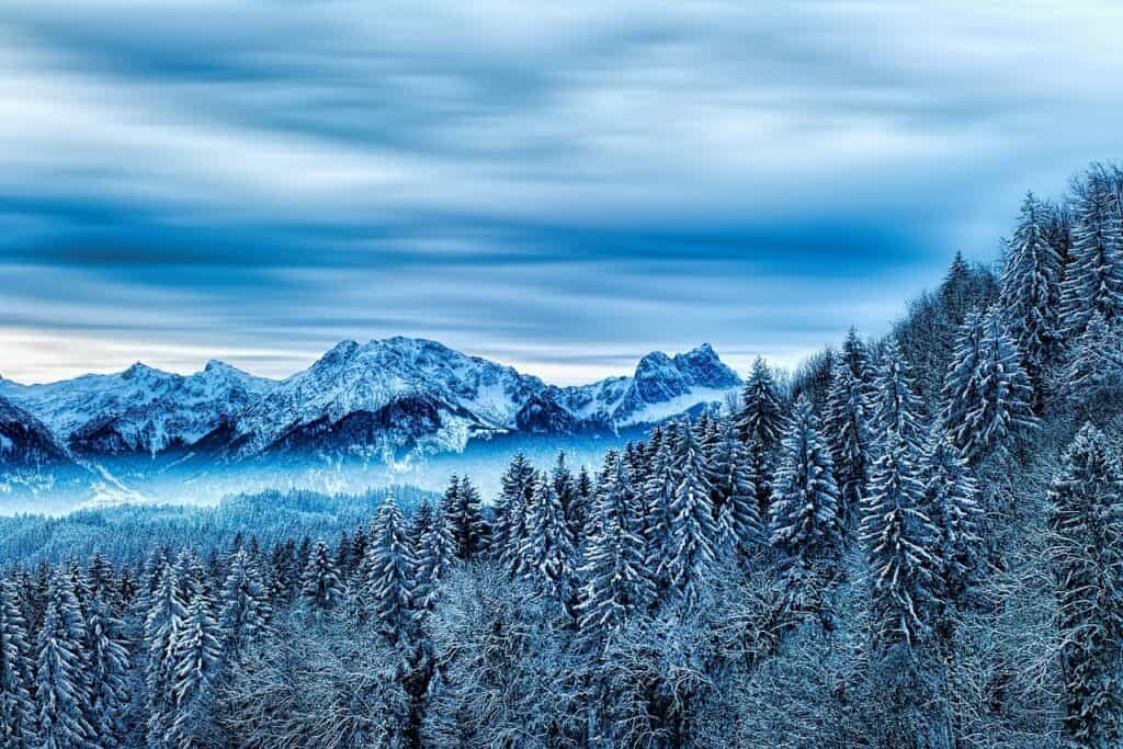 winter, forest, mountain-3097418.jpg