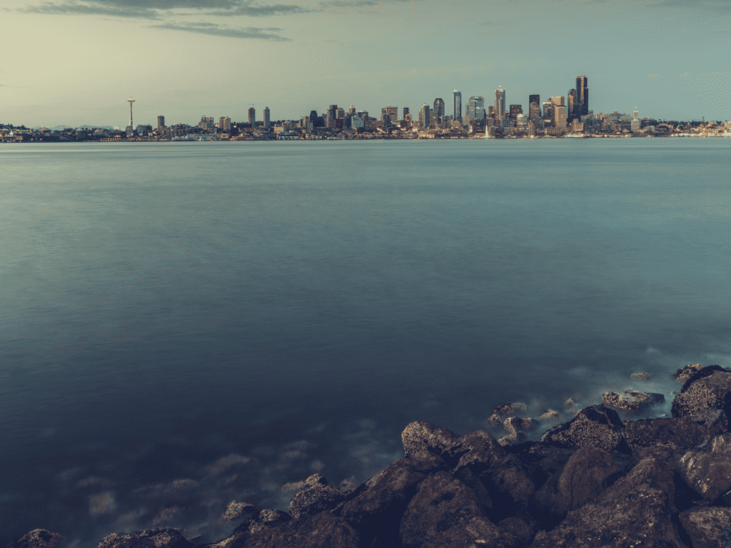 waterfront with seattle in view